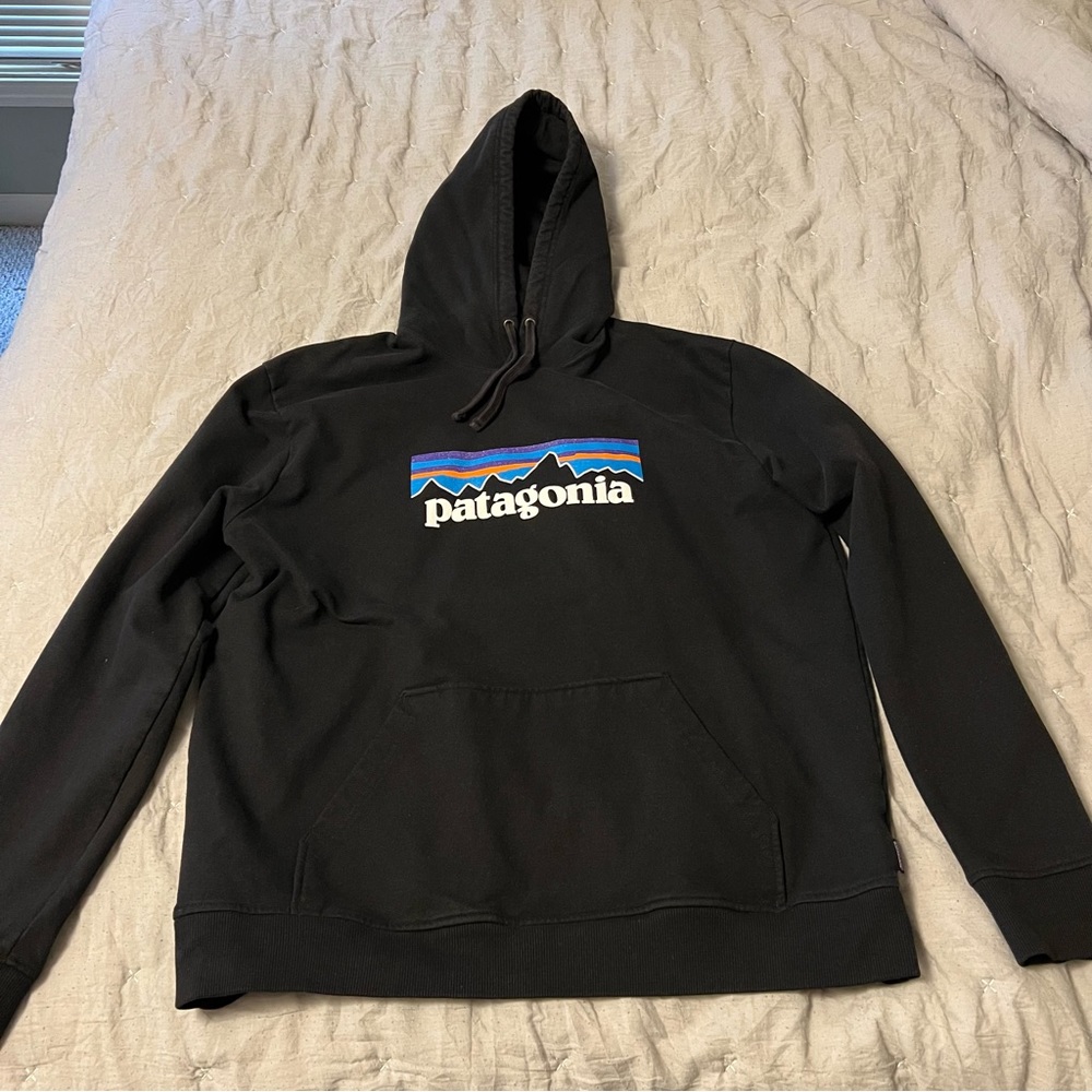 Patagonia Hoodie